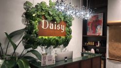 -Daisy Beauty lab日式美甲美睫
