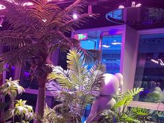 -粉墨特色菜·烧烤音乐酒馆