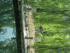 -水磨沟公园