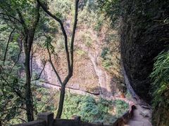 -青城山