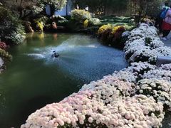 -杭州植物园