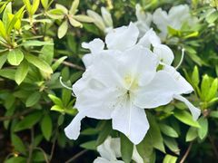 -杭州植物园