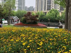 -苏州河梦清园环保主题公园