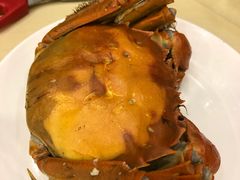 -王宝和酒家(黄浦店)