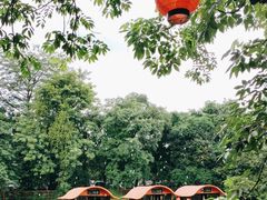 -侨美·唐荔园·40年地道粤菜