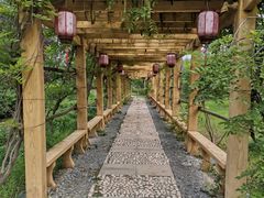 -中家鑫园温泉酒店鑫悦汤泉