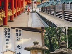 -奈良公园