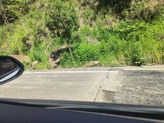 -洛阳白云山景区