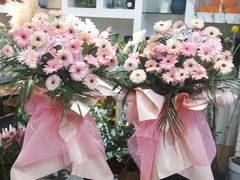 -淘花源花艺鲜花店 开业花篮 绿植(南部商务区店)