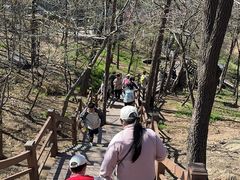 -沂蒙山旅游区云蒙景区(蒙山国家森林公园)