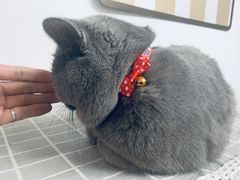 -KKV(深圳宏发大仟里店)