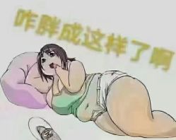 -香薇妮丝·定制减肥·身材管理