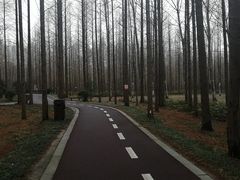 -黄海国家森林公园