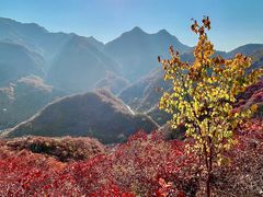 -水峪民俗村