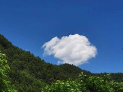 -33韩式自助烧烤(环城南路店)