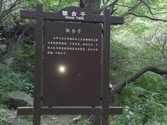 -阳台山自然风景区