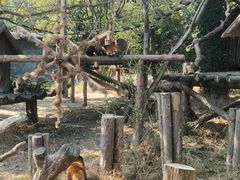 -宁波野生动物园