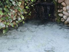 -洛龙公园