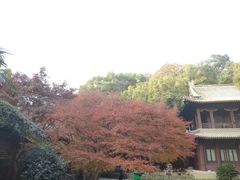 -团城山公园