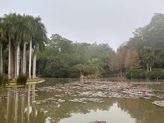 -中国科学院西双版纳热带植物园
