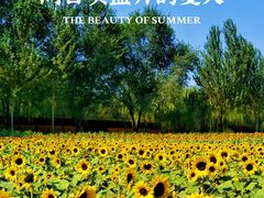 -长白岛森林公园