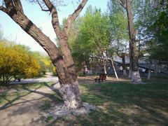 android_upload_pic-辽宁大学(崇山校区)