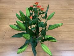 -循礼门鲜花花市(武汉循礼门店)