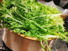 苦菊-龍歌自助小火锅(崂山丽达店)