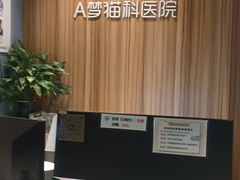 -御宝贝·A梦猫科宠物医院(国际猫友好医院)