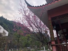 -乌江画廊(彭水苗族土家族自治县)