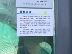 -盐城丹顶鹤湿地生态旅游区