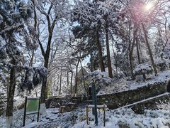 -莫干山风景区