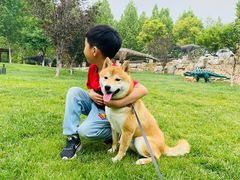 -静之湖湖畔餐厅