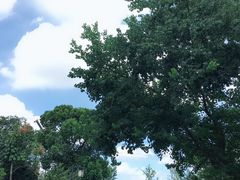 -梁鸿国家湿地公园
