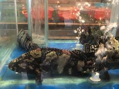 -大铁勺新津菜(迎水道店)