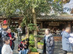 -青城甲(青城山店)