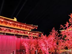-大唐不夜城