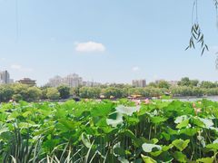 -济南大明湖景区
