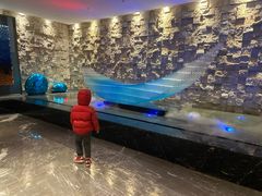 -东吴水韵(吴中店)