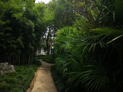 -朱家角课植园