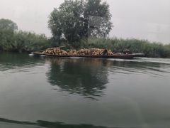 -白洋淀景区