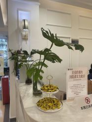 -广州健丽·去眼袋医疗美容机构