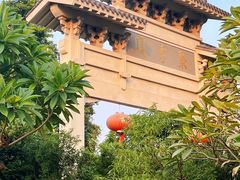 -番禺大夫山森林公园