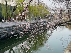 -观潮胜地公园
