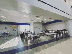 -纽瓦克自由国际机场