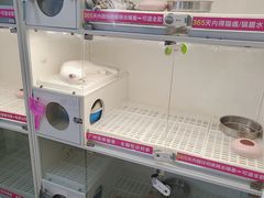 -lincat·猫舍(广州店)