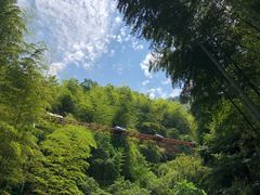 -藏龙百瀑风景区