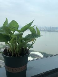 -ANNIL安奈尔·NASX超透白·科技抗衰·问题性肌肤管理