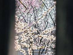 -三里河公园