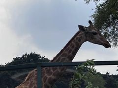 -沈阳森林动物园